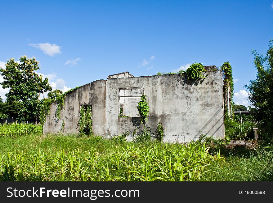 An old and rustic house surrounded with vegetation. An old and rustic house surrounded with vegetation