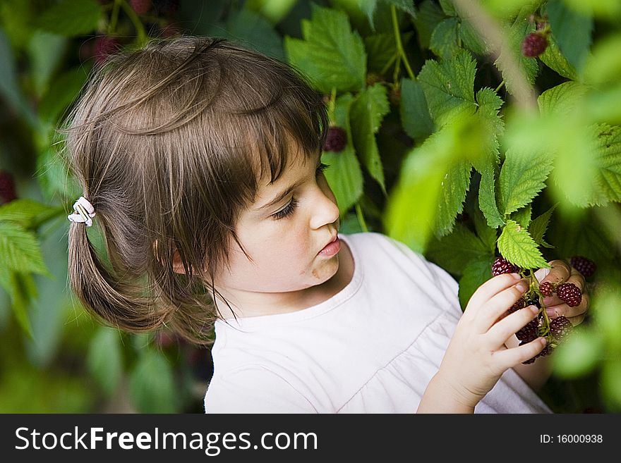 Little Girl With Berries