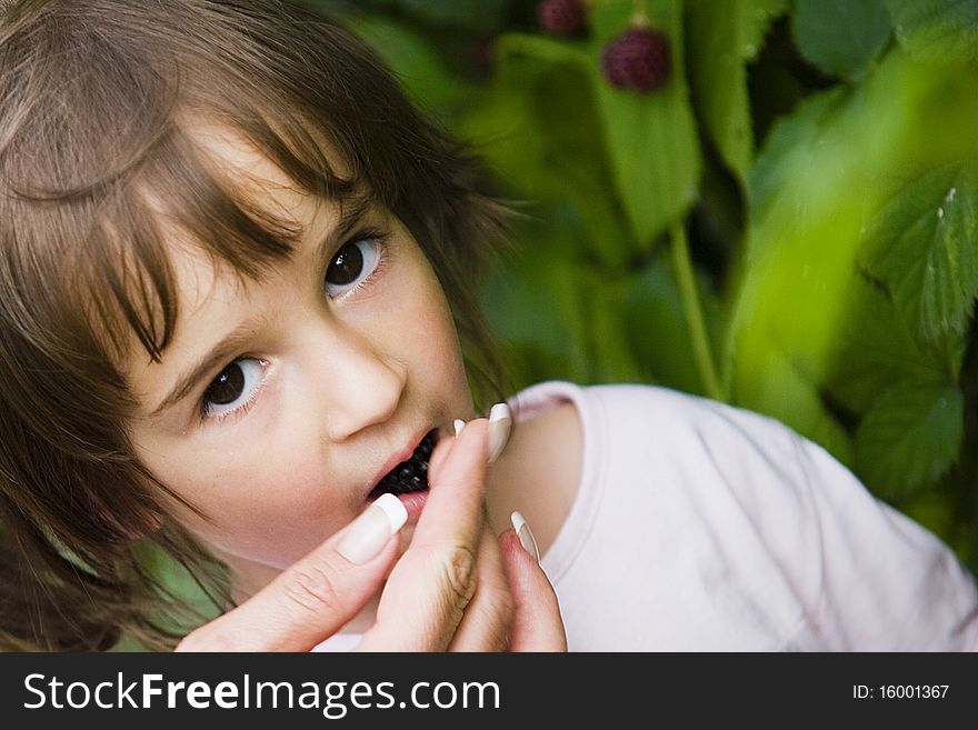 Little girl picking and eating berries. Little girl picking and eating berries