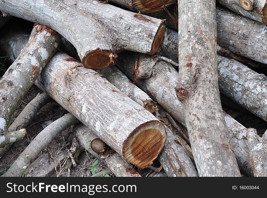 A pile of log wood