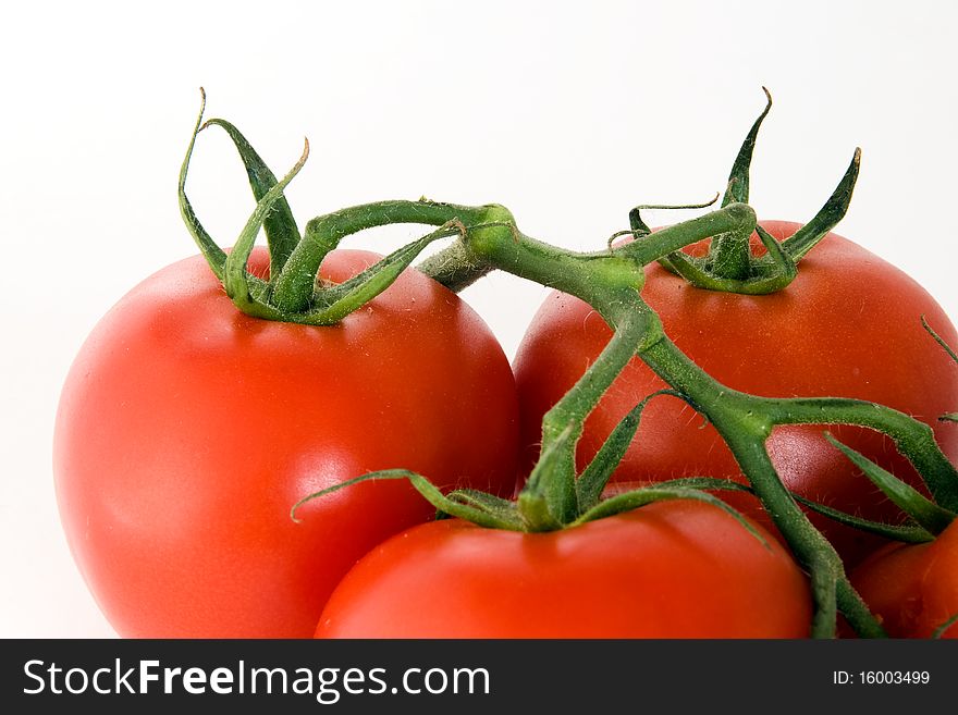 Stem with tomatoes on a white background