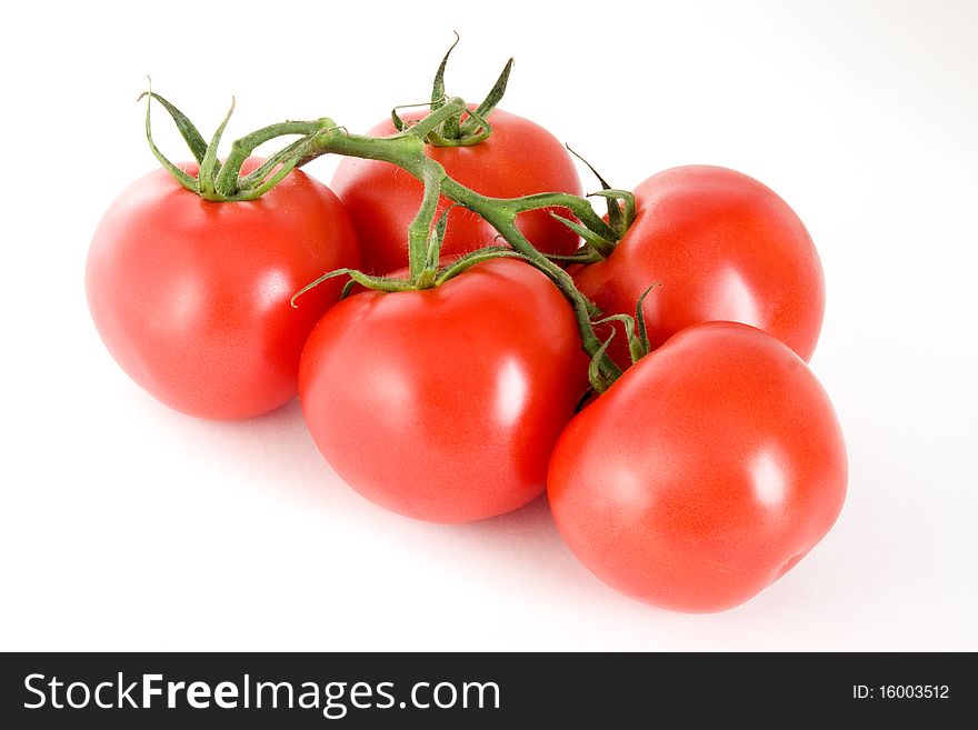 Five tomatoes on a stem on a white background