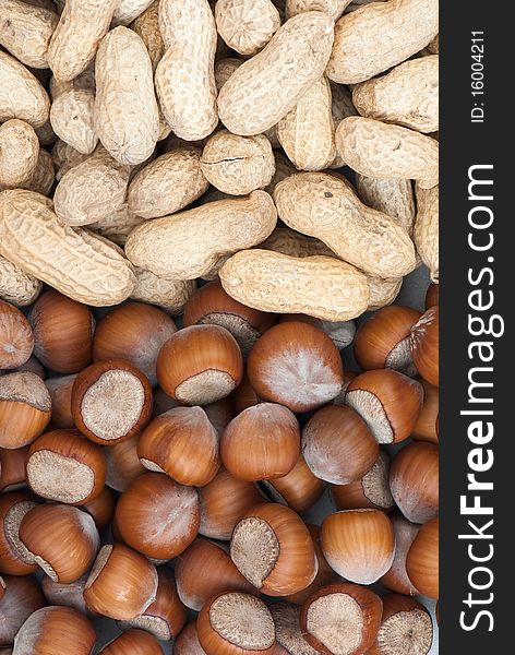 Composition from nuts on the white isolated background