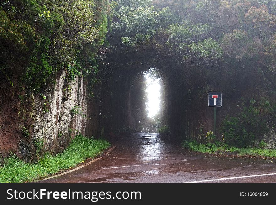 Deadlock road in the forest on Canary Island in rain