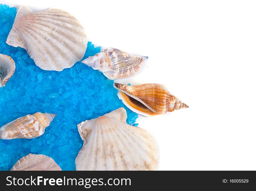 Aromatic salt and shells on a white background