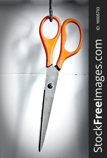 Orange scissor hang in the kitchen