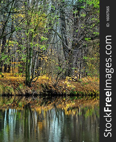 Fall Colored Trees And River