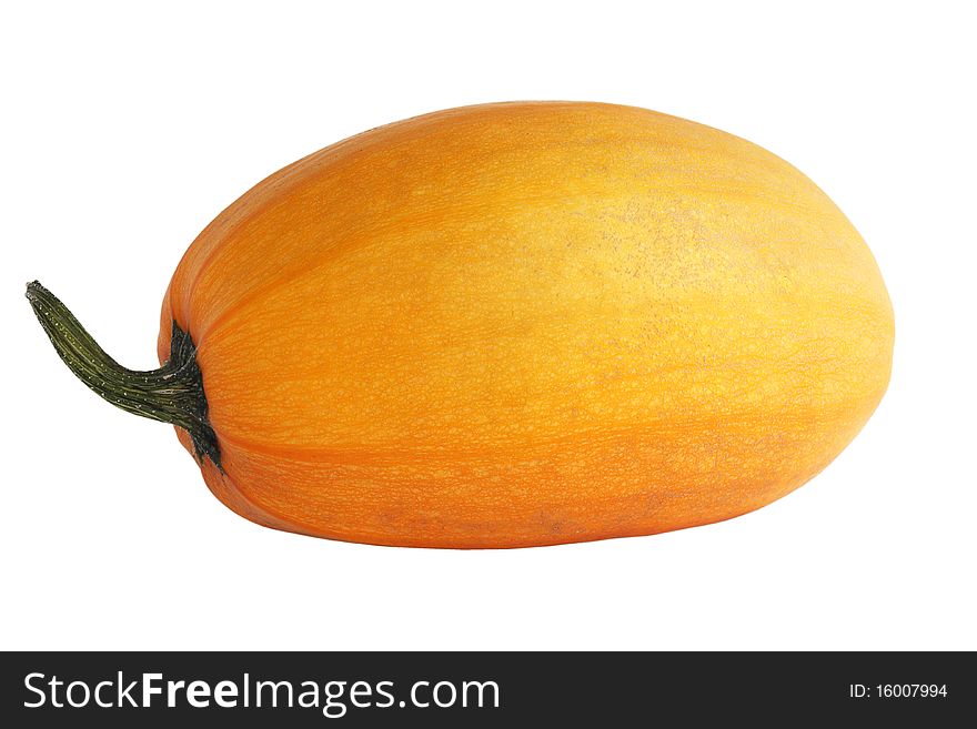 Oblong Pumpkin