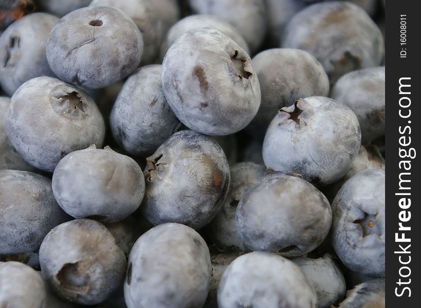 Blueberries at a local organic farm stand