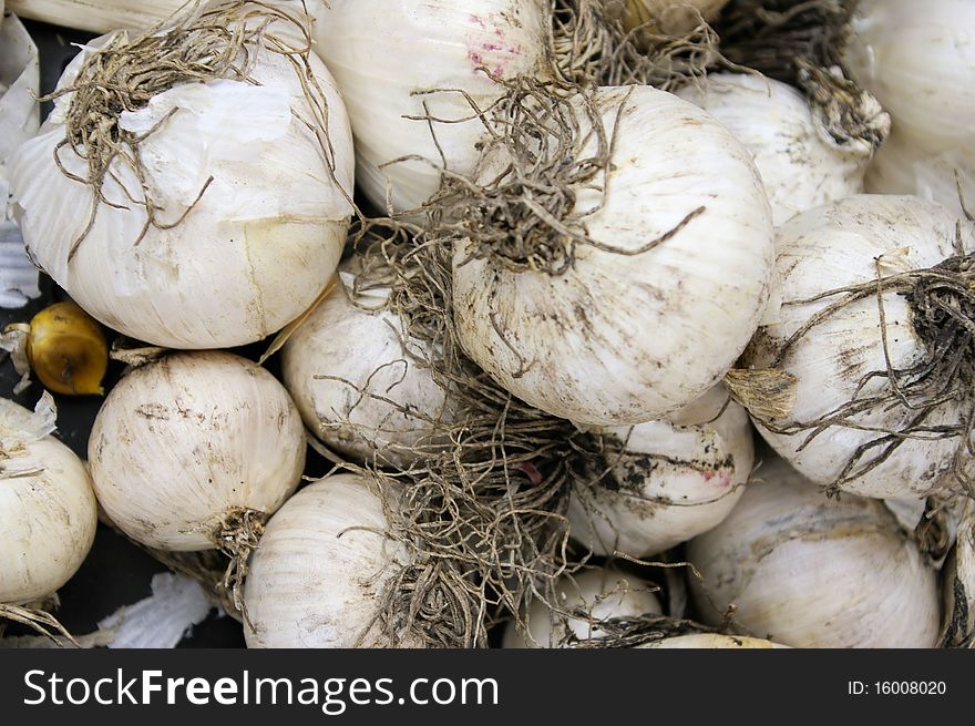 White skinned onions at a local farm stand