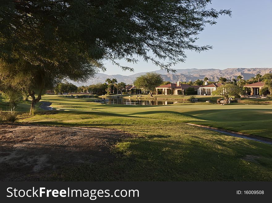 Mesquite trees grace the Gary Player Signature Golf Course at Mission Hills, Rancho Mirage, CA. Mesquite trees grace the Gary Player Signature Golf Course at Mission Hills, Rancho Mirage, CA
