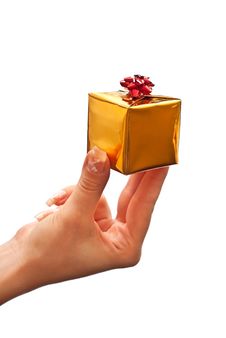 Woman Holding Gift Box Stock Photos Woman Holding Gift Box Stock Photos