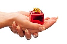 Present In Hands Royalty Free Stock Image