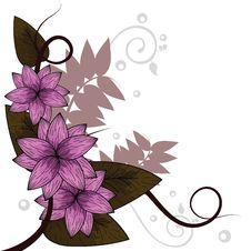 Floral Wallpaper Stock Images Floral Wallpaper Stock Images