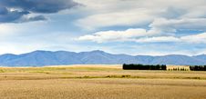 Pasturelands In The Heat Of Summer Stock Image Pasturelands In The Heat Of Summer Stock Image