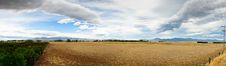 Pasturelands In The Heat Of Summer Stock Image Pasturelands In The Heat Of Summer Stock Image