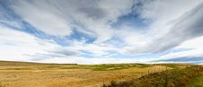 Pasturelands In The Heat Of Summer Royalty Free Stock Image Pasturelands In The Heat Of Summer Royalty Free Stock Image