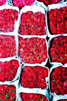 Roses Offered At The Flower Market Early Morning Stock Photo Roses Offered At The Flower Market Early Morning Stock Photo