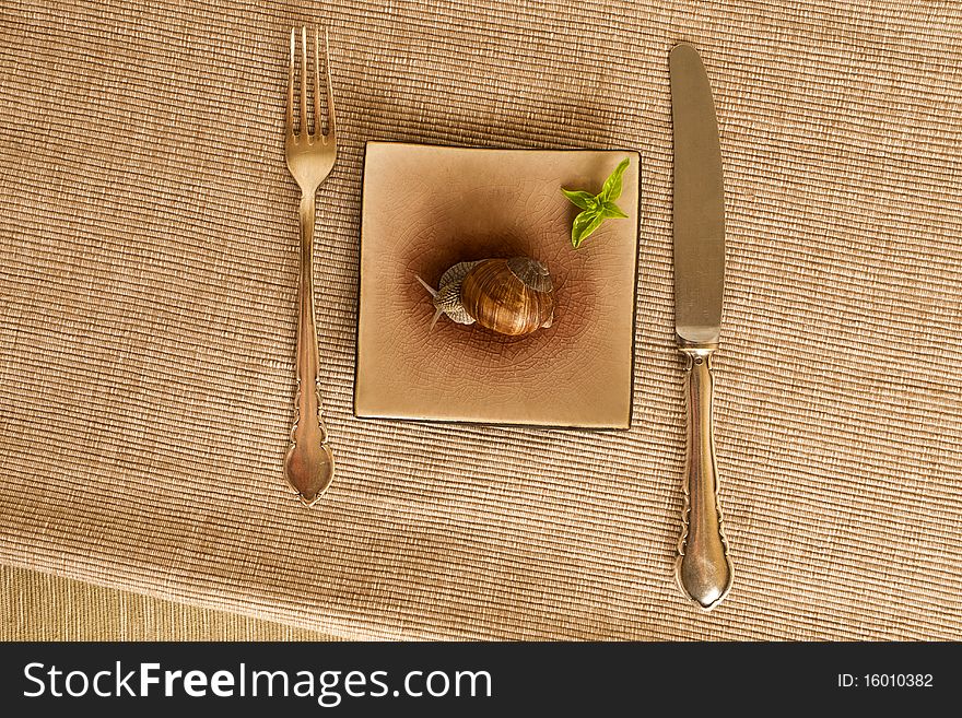 Slug on a ceramic plate with knife and fork. Slug on a ceramic plate with knife and fork.