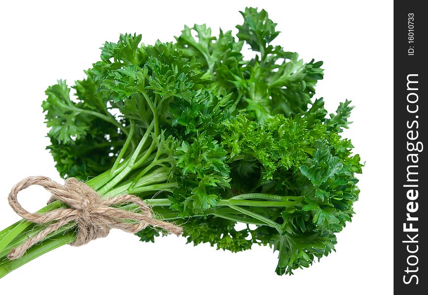 Fresh parsley bouquet on oure white background