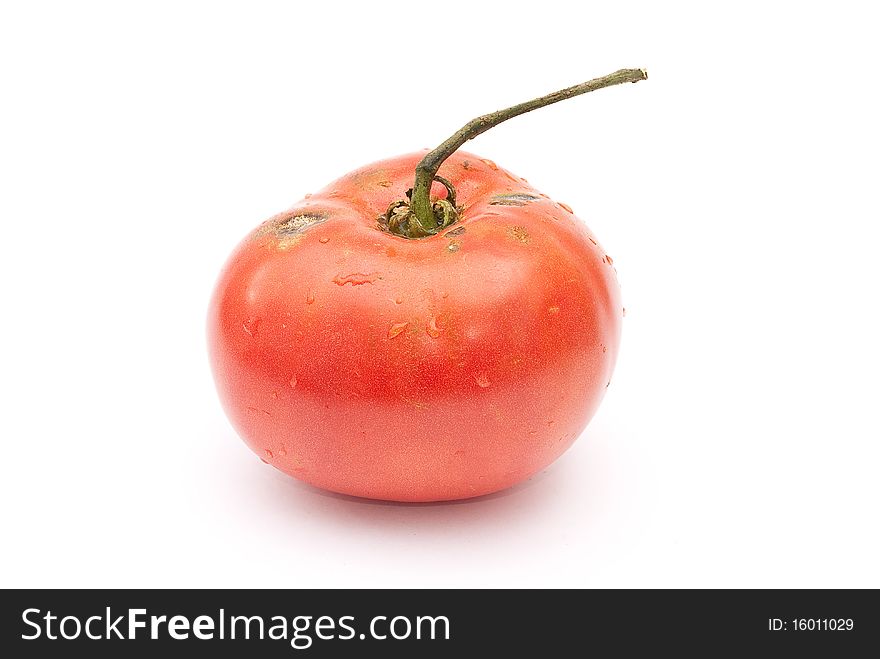Eco red tomato on white