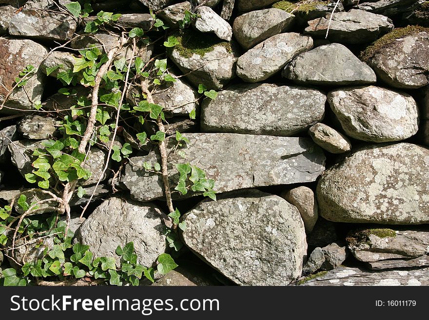 Rock fence background with green plants