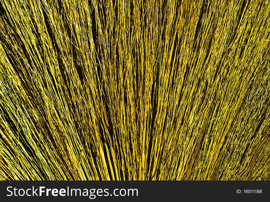 Texture and background of Broom grass