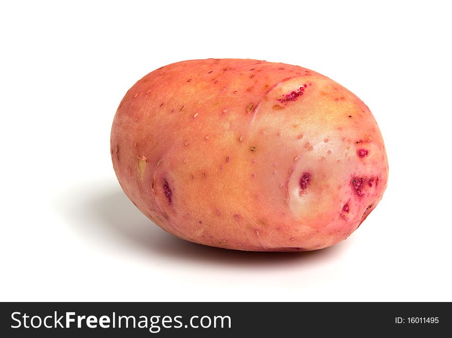 The red miniature potato isolated on white background. The red miniature potato isolated on white background