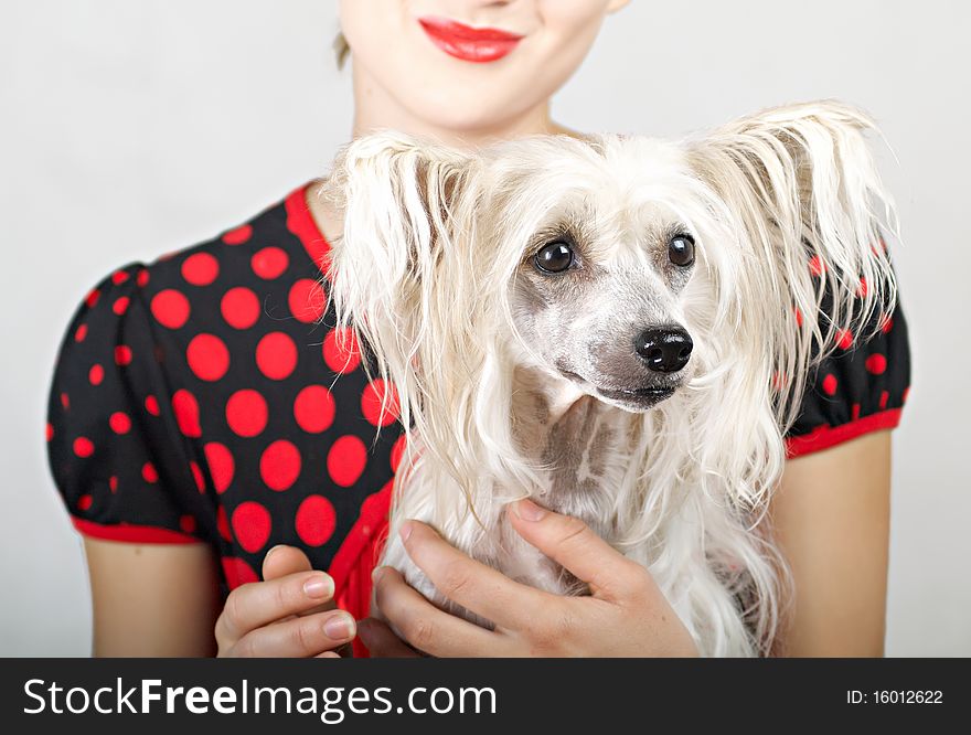 A beautiful girl with a dog in her arms. Chinese crested dog.