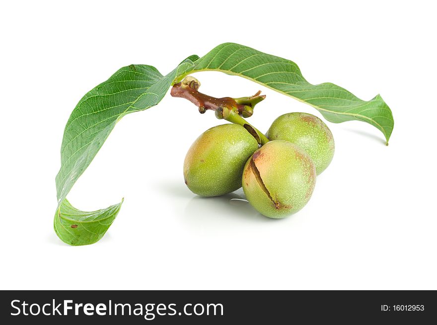 Branch of a walnut isolated on a white