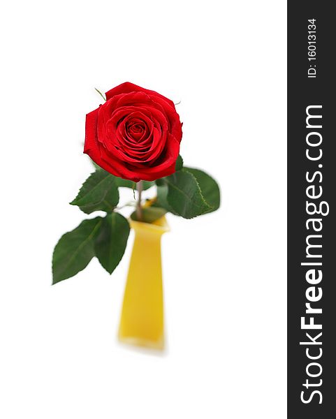 Red Rose In Yellow Vase