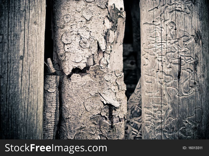 Old wooden fence with rusty nails background. Old wooden fence with rusty nails background