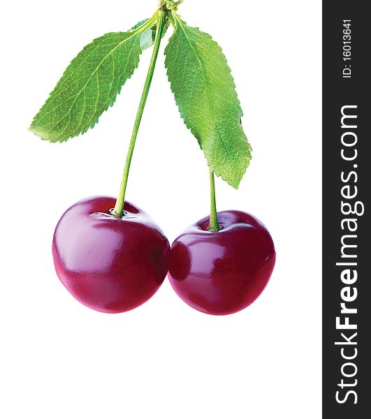 Bunch of cherries on a white background. Bunch of cherries on a white background