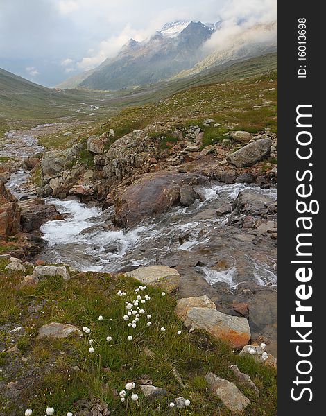 Gavia Torrent at Gavia Pass, Brixia province, Lombardy region, Italy. 2651 meters on the sea-level