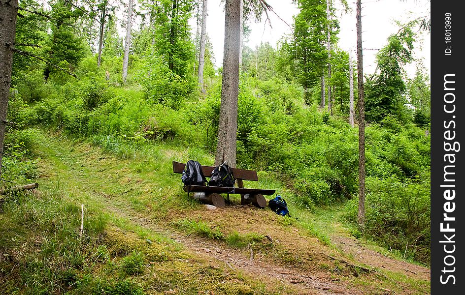 Three backpacks and a wooden seat in the wet Black Forest. Three backpacks and a wooden seat in the wet Black Forest