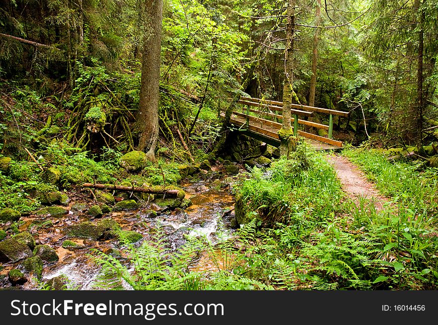 Wooden bridge over a small whitewater in rainy Black Forest. Wooden bridge over a small whitewater in rainy Black Forest