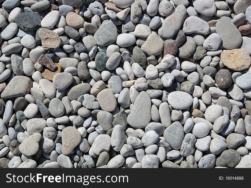 Gray pebble on a sunny beach