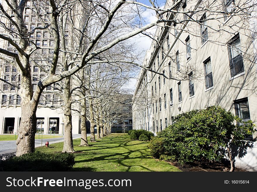 Park in one of the campuses in Cambridge city in Massachusets. Park in one of the campuses in Cambridge city in Massachusets