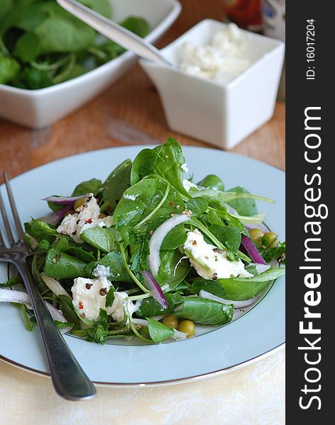 Spinach, rocket and watercress salad with ricotta. Spinach, rocket and watercress salad with ricotta