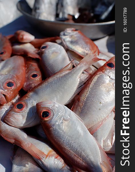 Red bigeye fish on an asian market stall