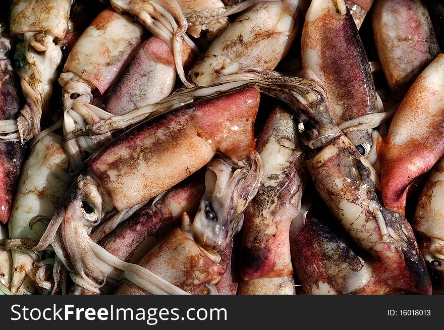 Freshly caught squid in a Philippine market