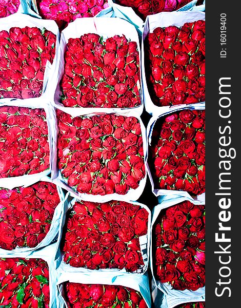 Roses Offered At The Flower Market Early Morning