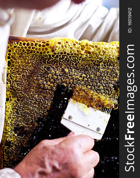 Processing of a full framework with honey. Processing of a full framework with honey