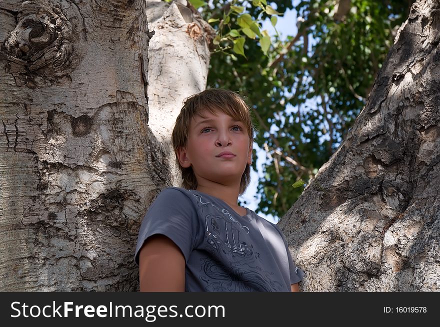 Portrait of a boy on the background of the tree. Portrait of a boy on the background of the tree.