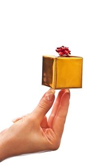 Woman Holding Gift Box Stock Photography Woman Holding Gift Box Stock Photography