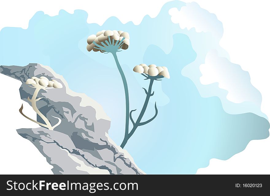 flower  in a stone on a  background sky. flower  in a stone on a  background sky