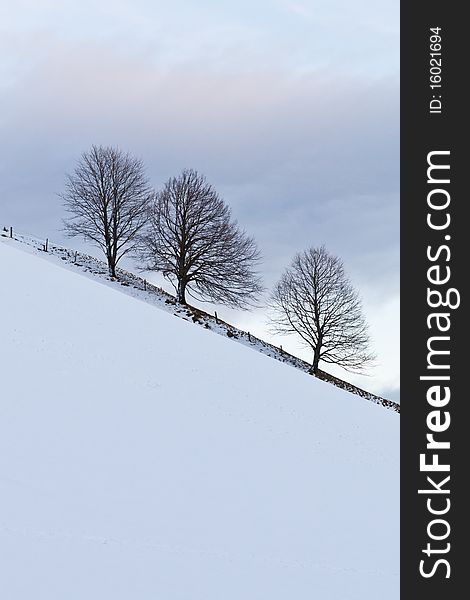 Three trees on the horizon. Winter idyllic atmosphere at twilight.