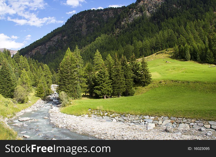 River of pines and mountain pastures. River of pines and mountain pastures