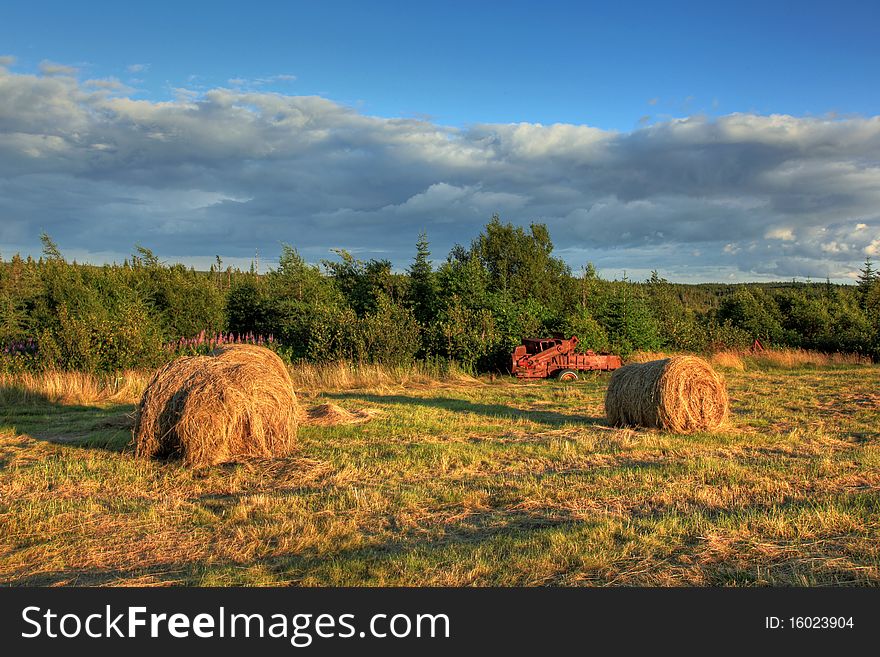 A field containing forgotten hay bales in autumn.