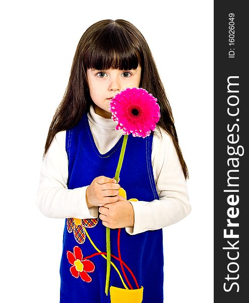 Little girl with red gerber flower.  isolated